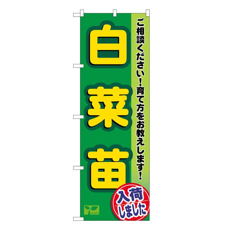 P・O・Pプロダクツ のぼり 白菜苗入荷しました 58976 1枚（ご注文単位1枚）【直送品】