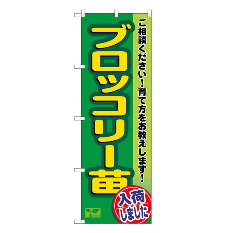 P・O・Pプロダクツ のぼり ブロッコリー苗入荷しました 58977 1枚（ご注文単位1枚）【直送品】