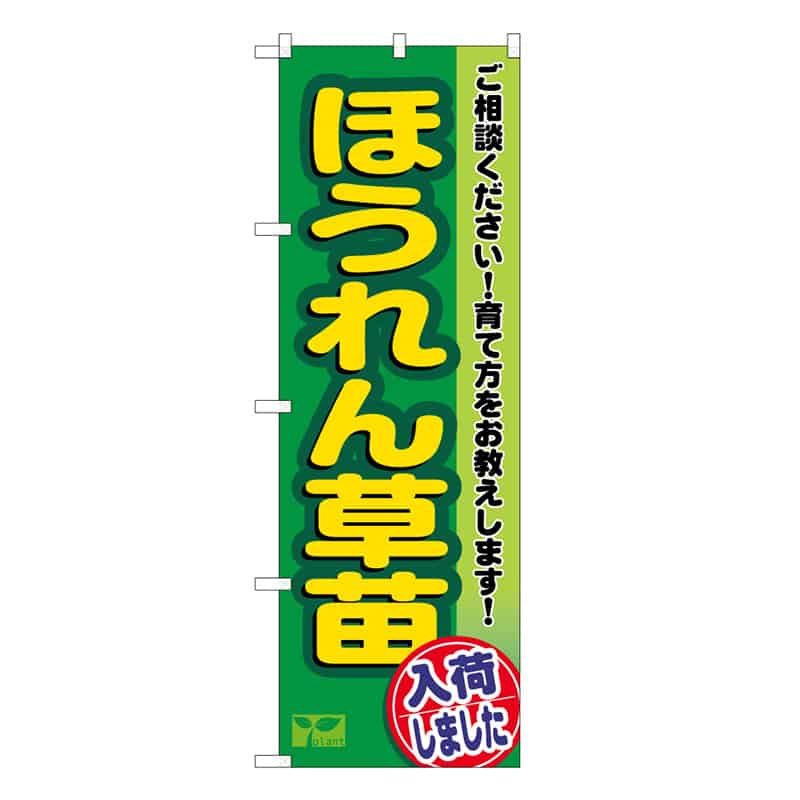 P・O・Pプロダクツ のぼり ほうれん草苗入荷しました 58978 1枚（ご注文単位1枚）【直送品】