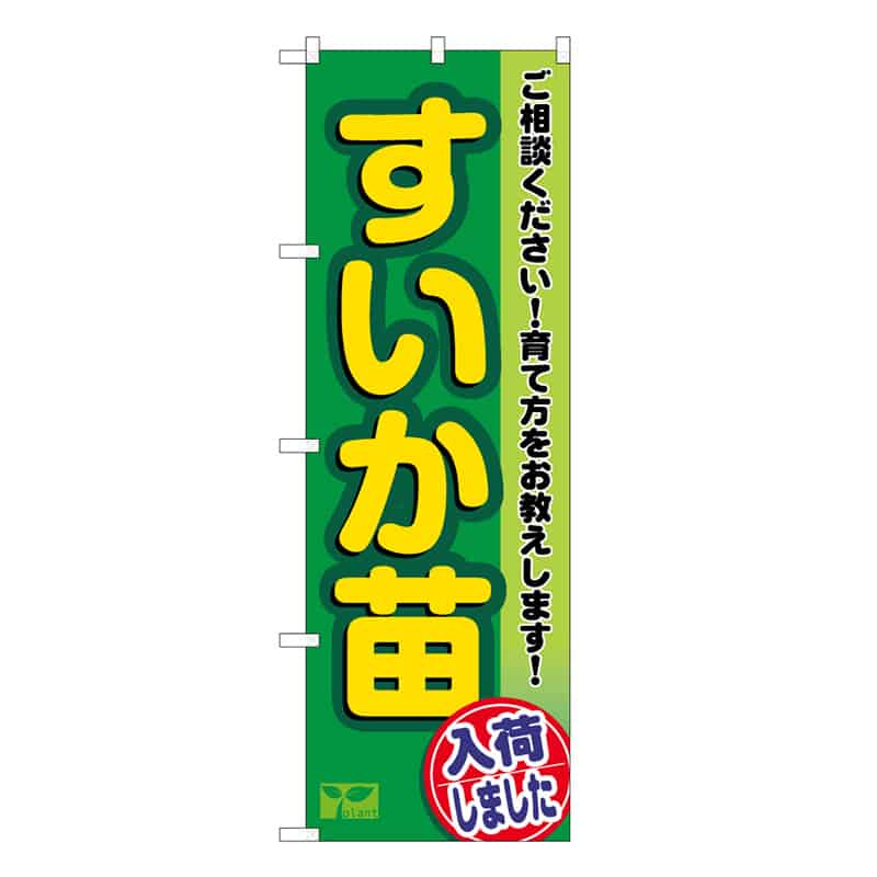 P・O・Pプロダクツ のぼり すいか苗入荷しました 58980 1枚（ご注文単位1枚）【直送品】