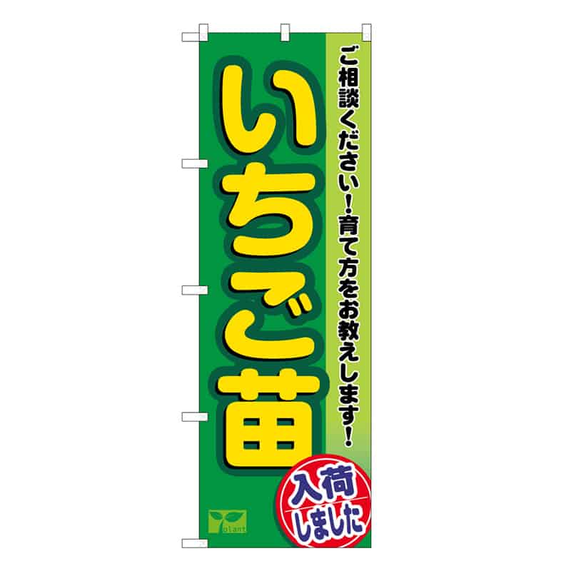 P・O・Pプロダクツ のぼり いちご苗入荷しました 58981 1枚（ご注文単位1枚）【直送品】