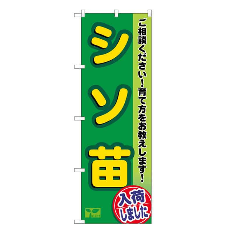 P・O・Pプロダクツ のぼり シソ苗入荷しました 58983 1枚（ご注文単位1枚）【直送品】