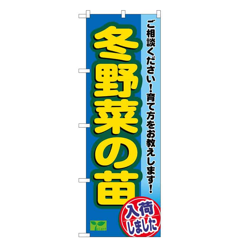 P・O・Pプロダクツ のぼり 冬野菜の苗入荷しました 58990 1枚（ご注文単位1枚）【直送品】