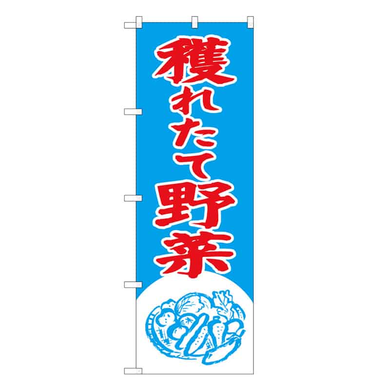 P・O・Pプロダクツ のぼり 穫れたて野菜 B 62627 1枚（ご注文単位1枚）【直送品】