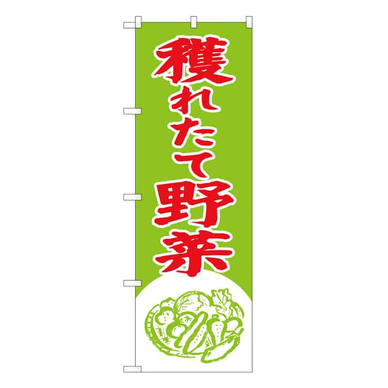 P・O・Pプロダクツ のぼり 穫れたて野菜 C 62628 1枚（ご注文単位1枚）【直送品】