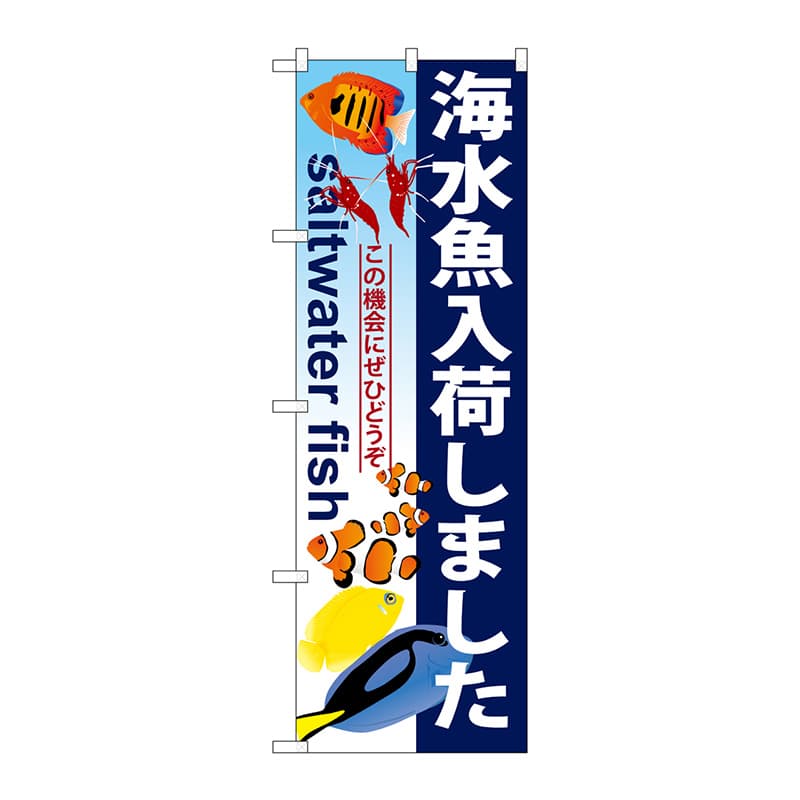 P・O・Pプロダクツ のぼり  GNB-572　海水魚入荷しました 1枚（ご注文単位1枚）【直送品】