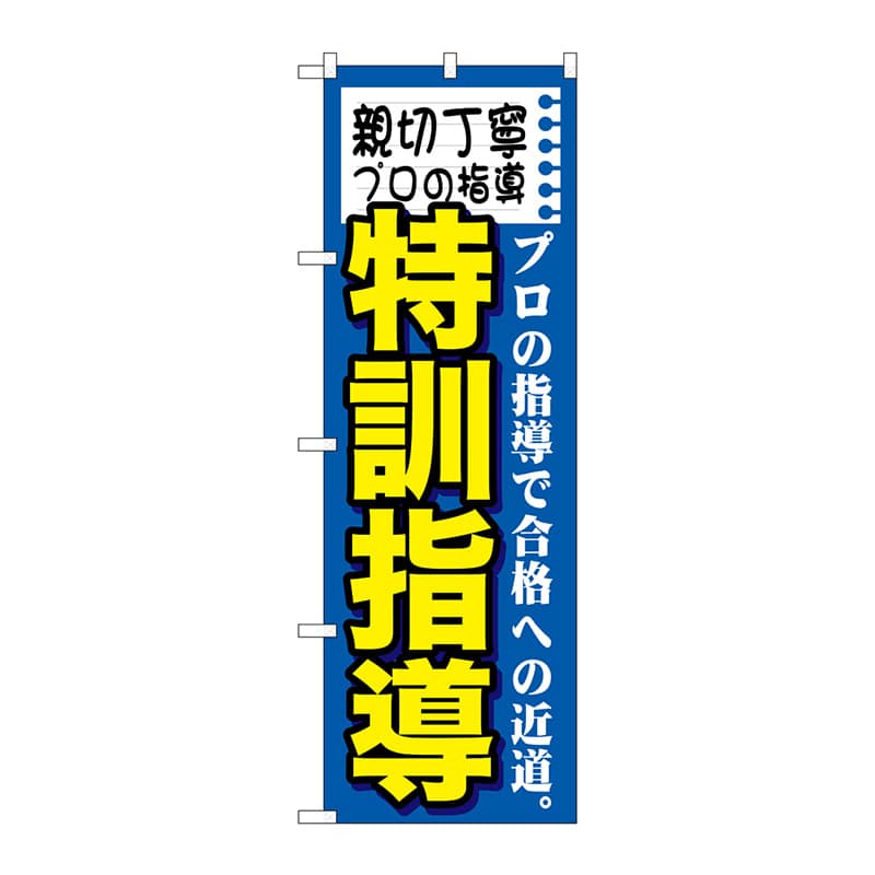 P・O・Pプロダクツ のぼり  GNB-1594　親切丁寧プロの特訓指導 1枚（ご注文単位1枚）【直送品】