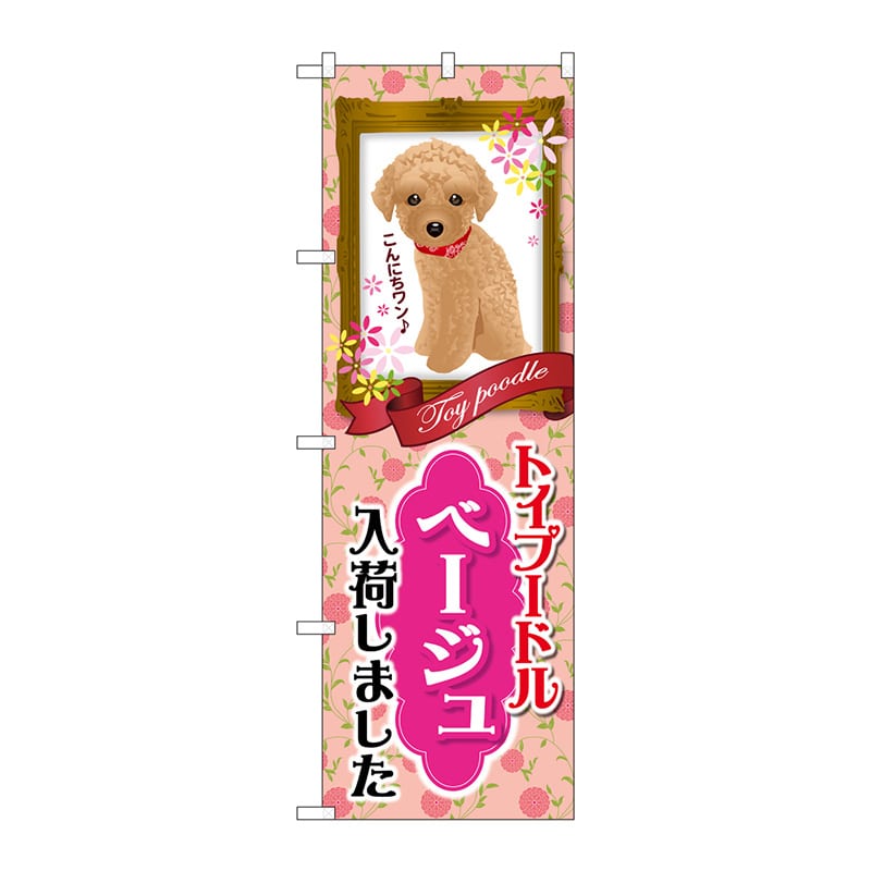 >P・O・Pプロダクツ のぼり  GNB-2464　トイプードル　ベージュ 1枚（ご注文単位1枚）【直送品】