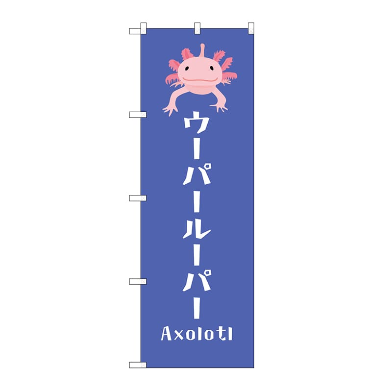 P・O・Pプロダクツ のぼり ウーパールーパー GNB-3375 1枚（ご注文単位1枚）【直送品】