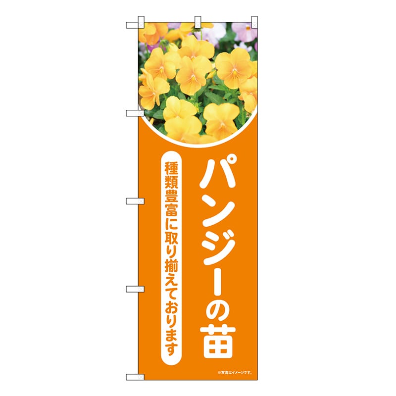 P・O・Pプロダクツ のぼり パンジーの苗 オレンジ 写真 OTM 84234 1枚（ご注文単位1枚）【直送品】