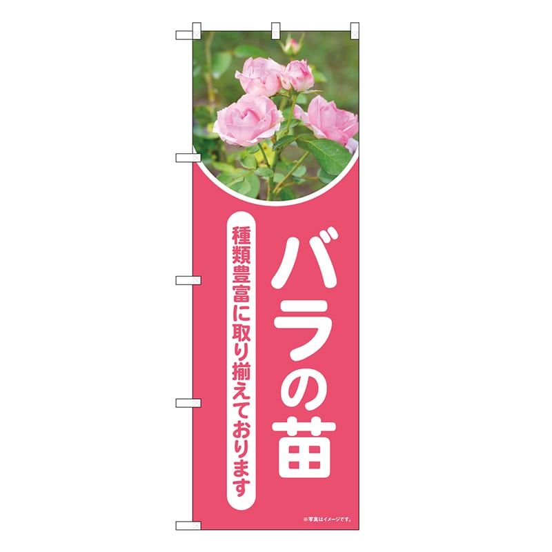 P・O・Pプロダクツ のぼり バラの苗 ピンク 写真 OTM 84236 1枚（ご注文単位1枚）【直送品】