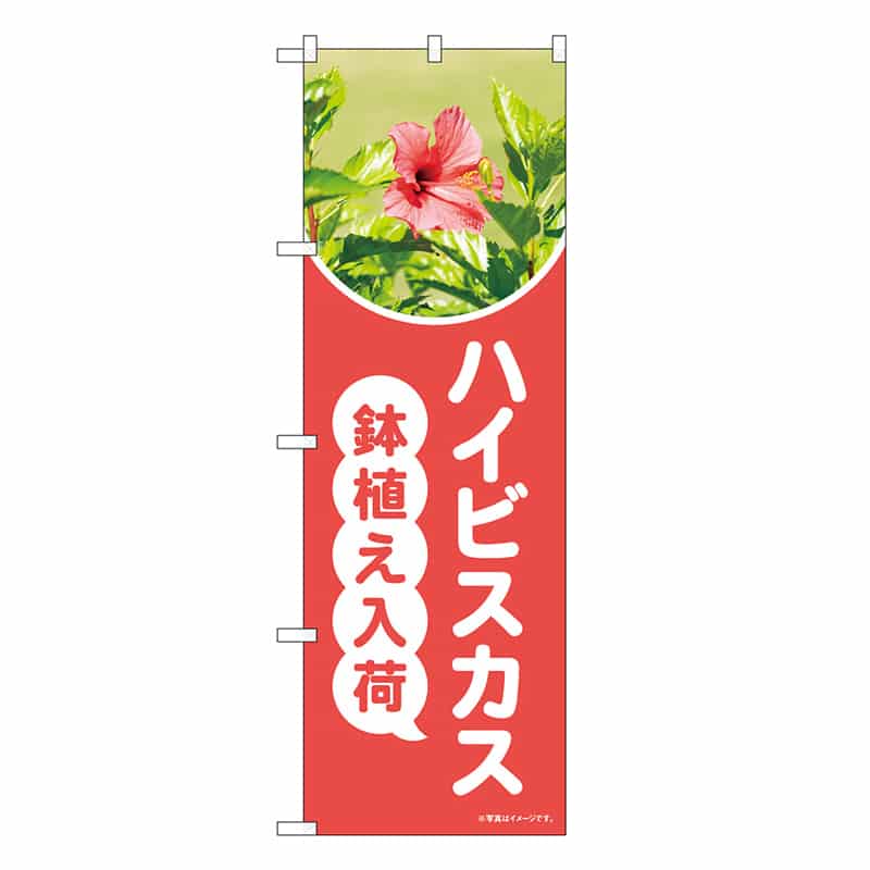P・O・Pプロダクツ のぼり ハイビスカス鉢植え入荷 ピンク OTM 84237 1枚（ご注文単位1枚）【直送品】