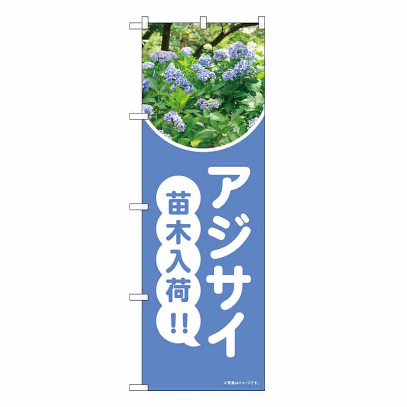 P・O・Pプロダクツ のぼり アジサイ 苗木入荷 水色 写真 OTM 84238 1枚（ご注文単位1枚）【直送品】