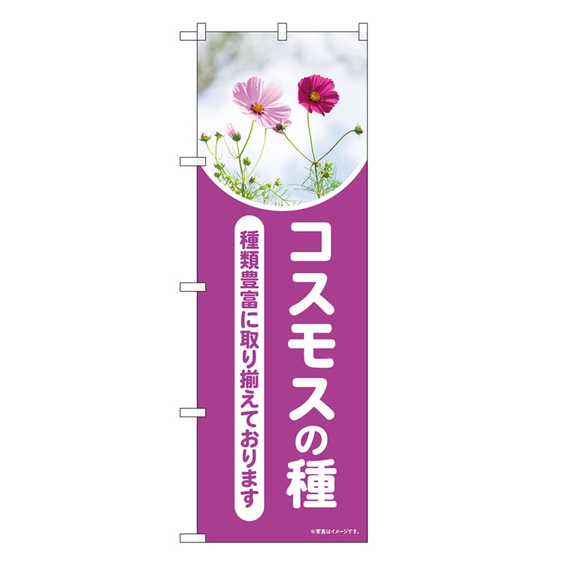 P・O・Pプロダクツ のぼり コスモスの種 紫 写真 OTM 84240 1枚（ご注文単位1枚）【直送品】
