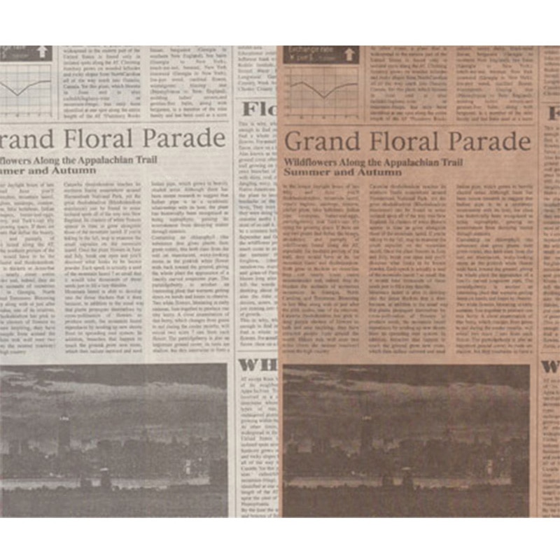 アミファ 包装紙 3枚入 ニュースペーパー 1個（ご注文単位180個）【直送品】