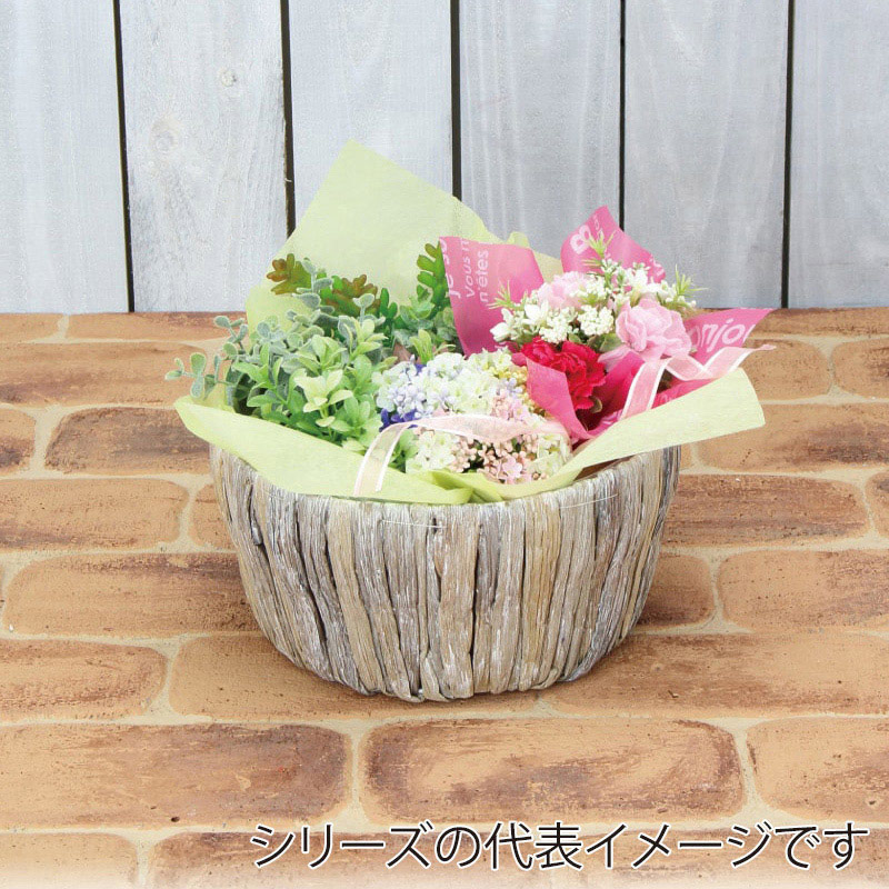 紅石 グラス丸かご SSサイズ 3-578SS 1個（ご注文単位1個）【直送品】