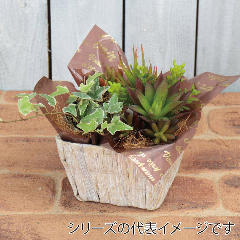 紅石 グラス正方かご XLサイズ 3-963XL 1袋(ご注文単位1袋)【直送品】