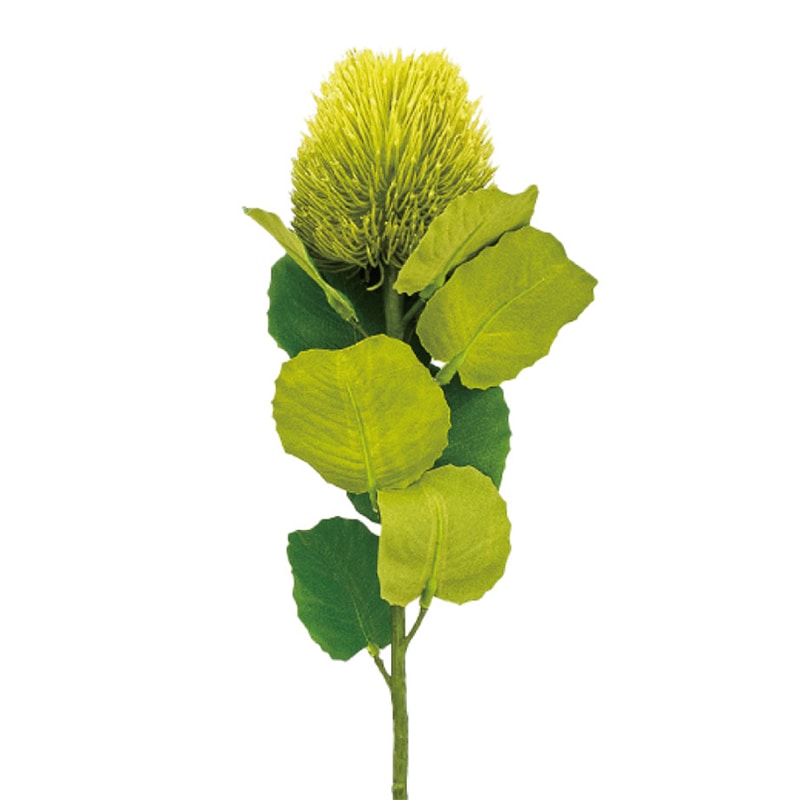 紅石 アートフラワー スモールバンクシア グリーン K-692-13 1本（ご注文単位12本）【直送品】