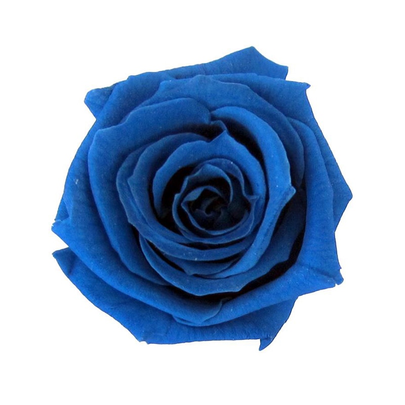 フロールエバー プリザーブドフラワー　ベイビーローズ グランブルー FL050-12 12輪/箱（ご注文単位1箱）【直送品】