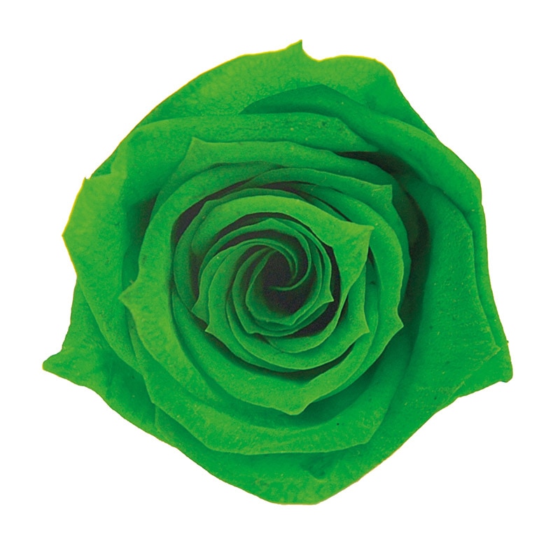 グラスグリーン