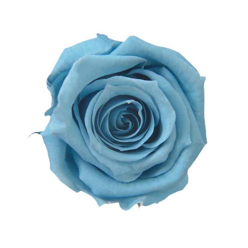 ホリゾンブルー