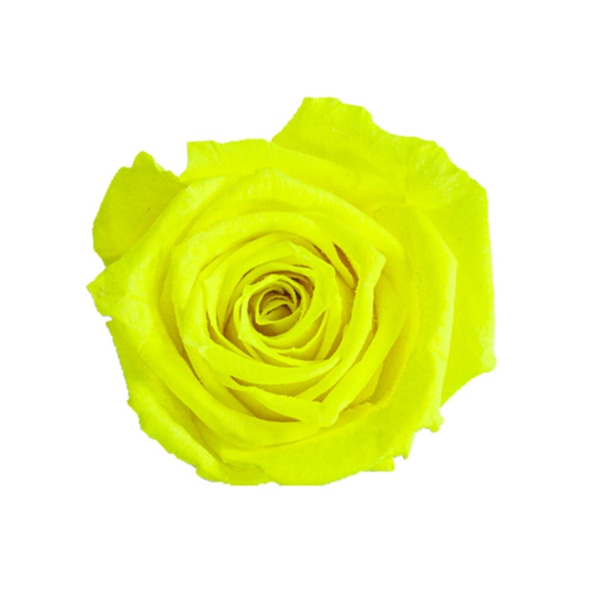 ネオンイエロー