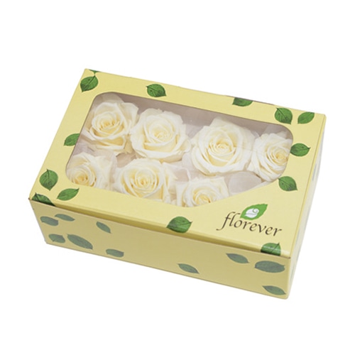 フロールエバー プリザーブドフラワー スプレーローズ フレンチバニラ FL070-57 1個（ご注文単位1個）【直送品】