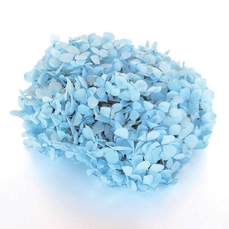 フロールエバー プリザーブドフラワー　アンデスアジサイ パウダーブルー FL291-13 1箱（ご注文単位1箱）【直送品】