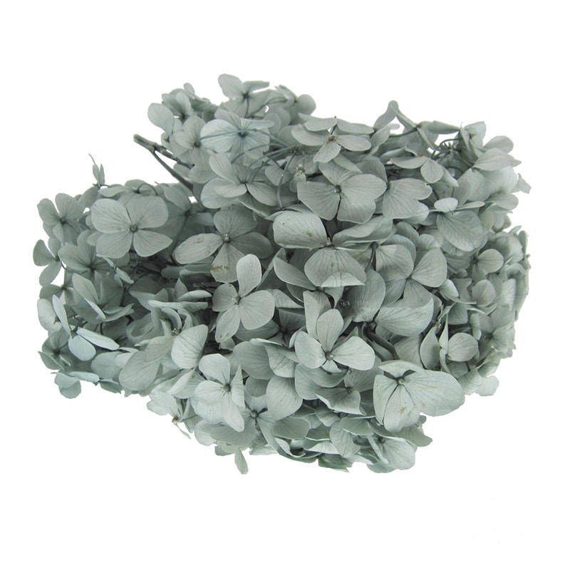 フロールエバー プリザーブドフラワー　アンデスアジサイ ミストグリーン FL291-42 1箱（ご注文単位1箱）【直送品】