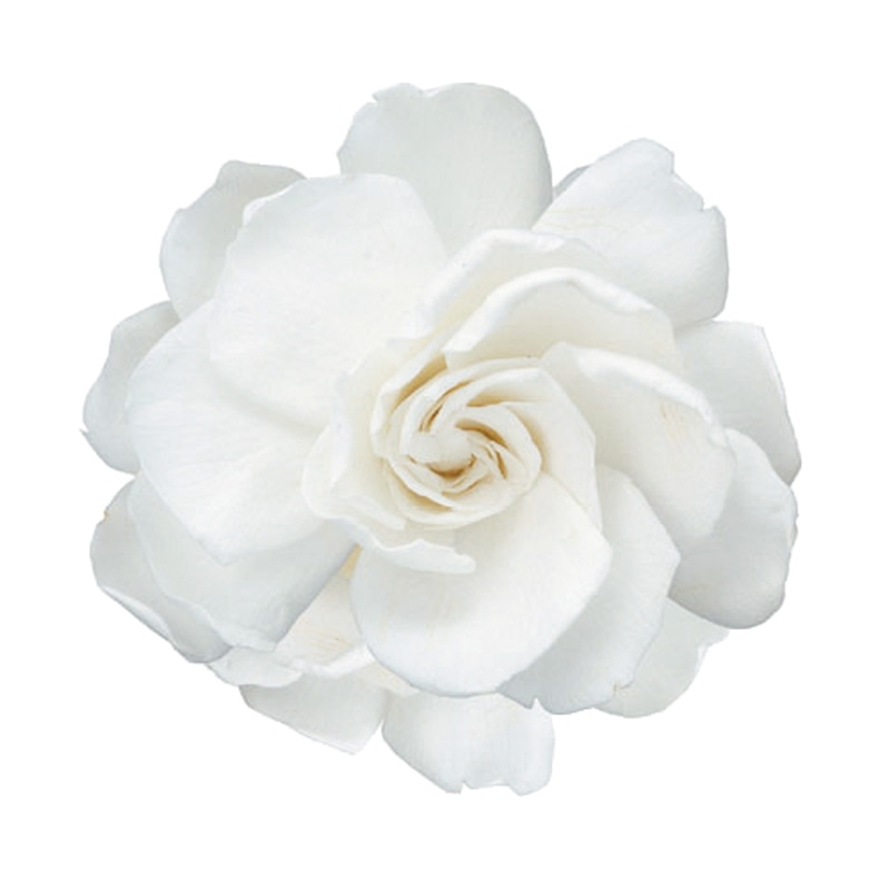 フロールエバー プリザーブドフラワー　ガーデニア パールホワイト FL312-01 3輪/箱（ご注文単位1箱）【直送品】