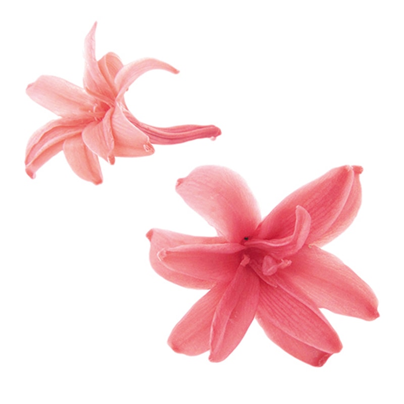 フロールエバー プリザーブドフラワー　チューベローズ ピンクオパール FL330-65 8輪/箱（ご注文単位1箱）【直送品】