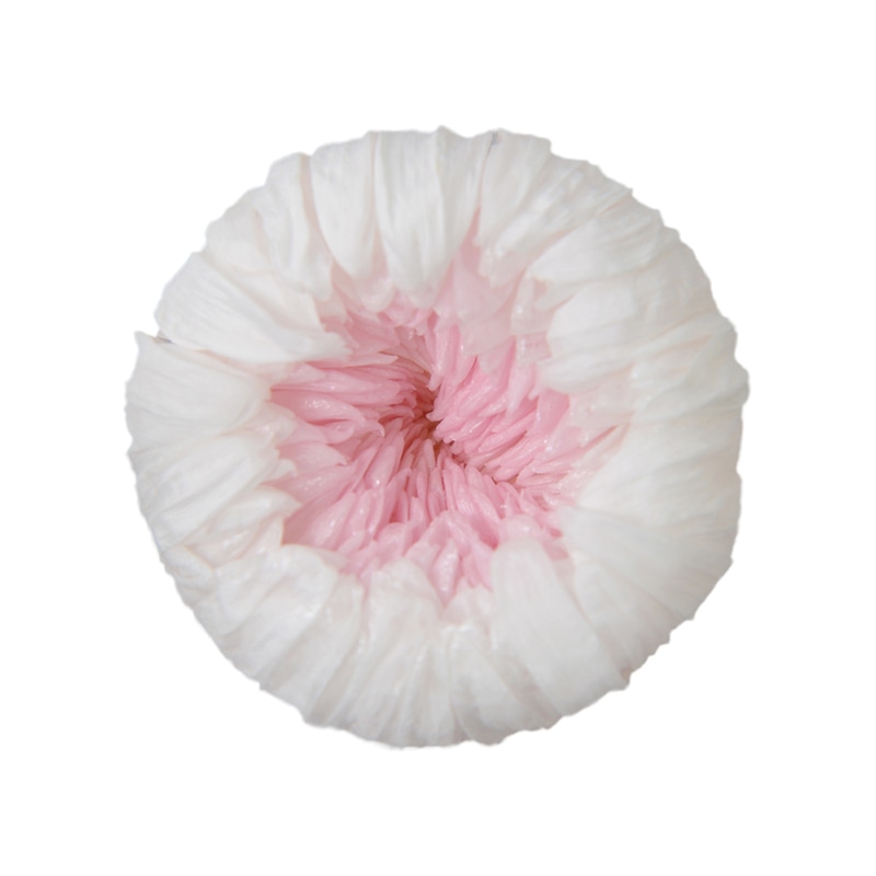 フロールエバー プリザーブドフラワー　輪ギク　デュオ ホワイト×ピンク FL4515-311 6輪/箱（ご注文単位1箱）【直送品】