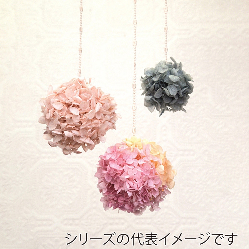 フロールエバー プリザーブドフラワー アナベル パステルオレンジ FL296-740 1箱(ご注文単位1箱)【直送品】