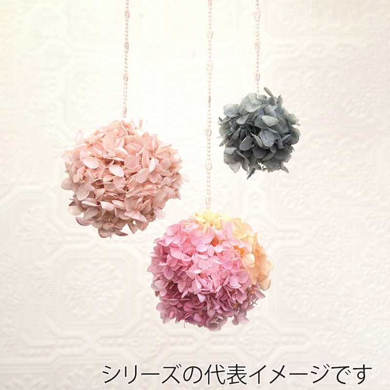 フロールエバー プリザーブドフラワー　アナベル ピンク FL296-860 1箱（ご注文単位1箱）【直送品】