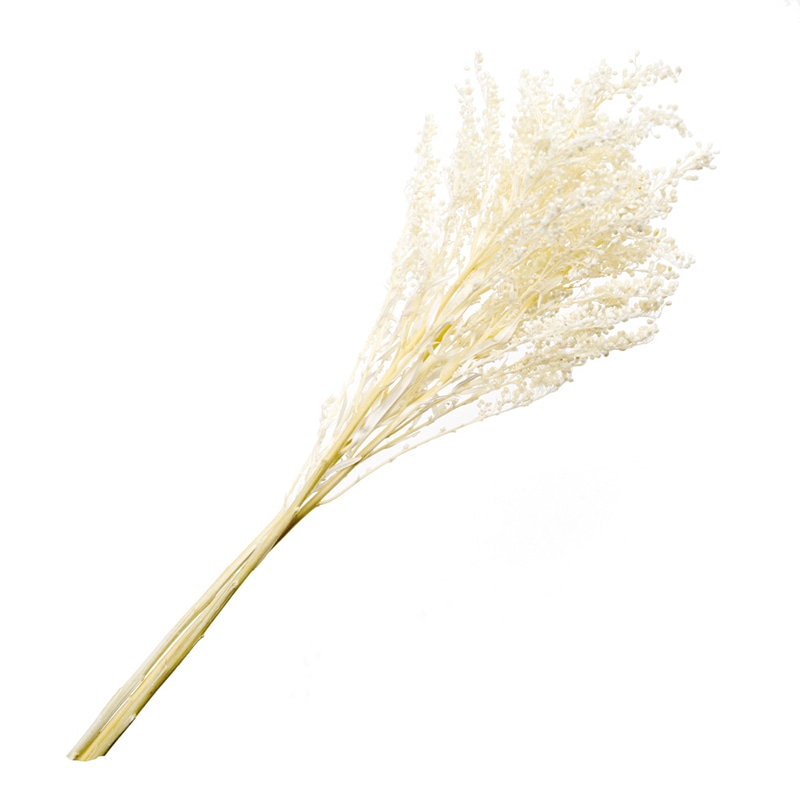 フロールエバー プリザーブドフラワー　ソリダゴ パールホワイト FL470-01 1束/（ご注文単位1束）【直送品】