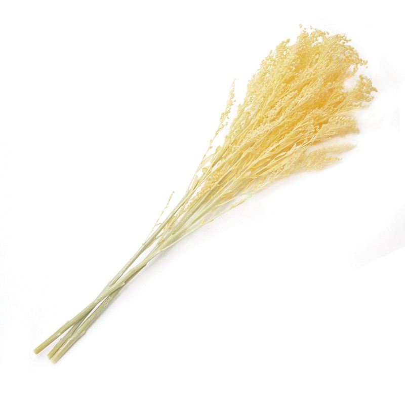 フロールエバー プリザーブドフラワー　ソリダゴ ソフトイエロー FL470-15 1束/（ご注文単位1束）【直送品】