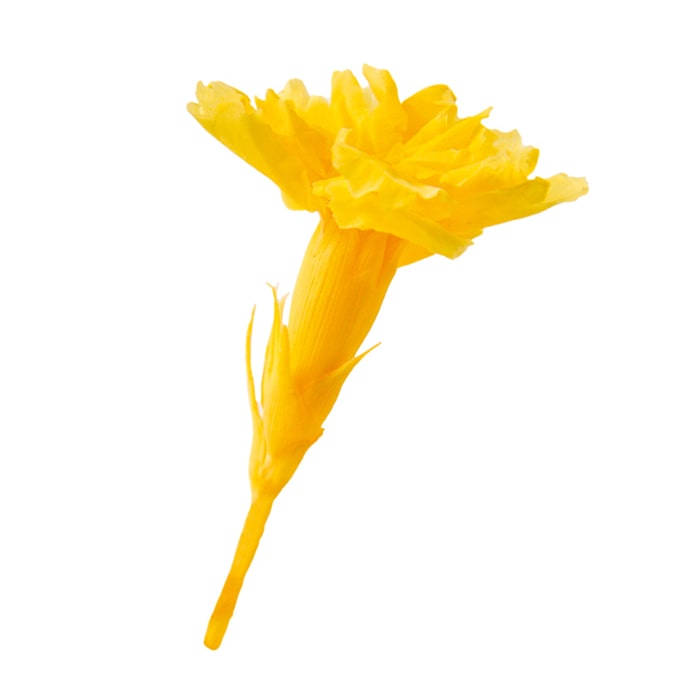 フロールエバー プリザーブドフラワー　マイクロカーネーション イエロー FL1400-02 20輪/箱（ご注文単位1箱）【直送品】