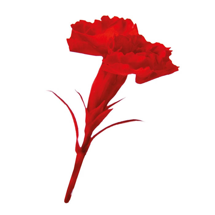 フロールエバー プリザーブドフラワー　マイクロカーネーション チェリーレッド FL1400-05 20輪/箱（ご注文単位1箱）【直送品】