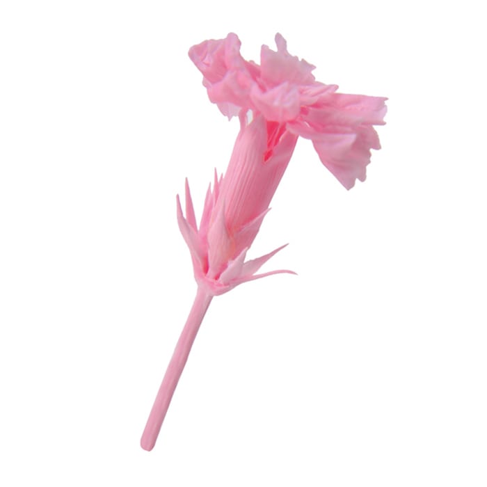 フロールエバー プリザーブドフラワー　マイクロカーネーション ベイビーピンク FL1400-07 20輪/箱（ご注文単位1箱）【直送品】