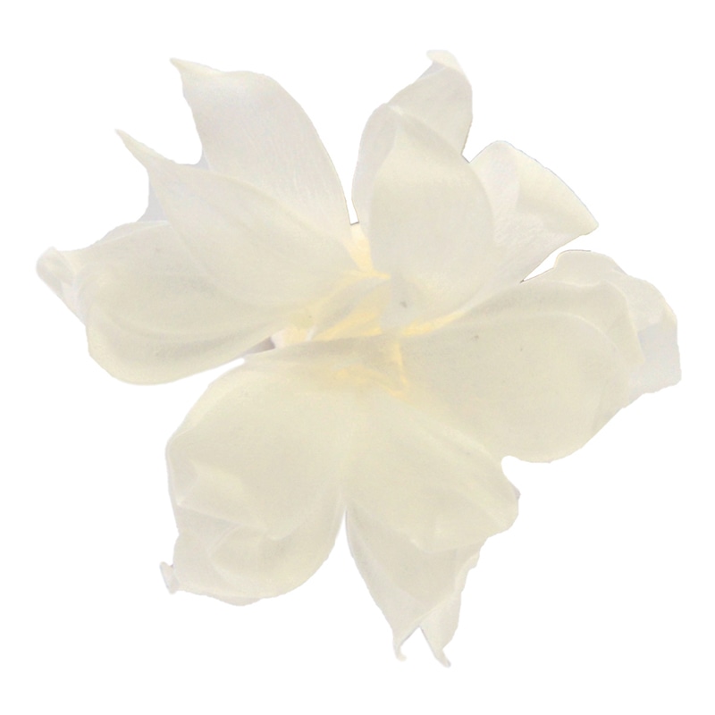 フロールエバー プリザーブドフラワー　スノースター パールホワイト FL1402-01 18輪/箱（ご注文単位1箱）【直送品】