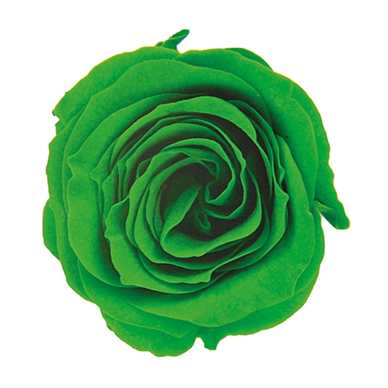 フロールエバー プリザーブドフラワー　ピッコラブロッサムローズ グラスグリーン FL041-88 18輪/箱（ご注文単位1箱）【直送品】