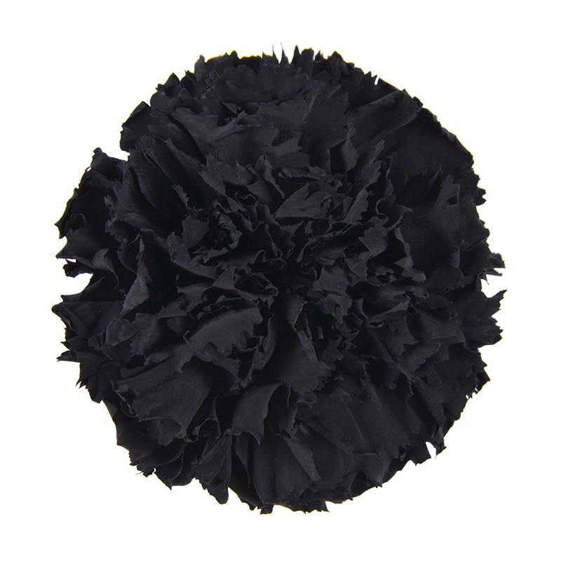 フロールエバー プリザーブドフラワー　スタンダードカーネーション ミッドナイトブラック FL1100-26 6輪/箱（ご注文単位1箱）【直送品】