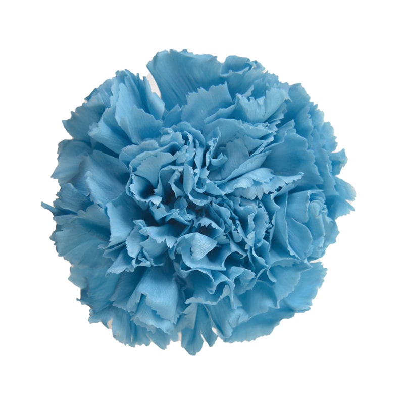 ホリゾンブルー