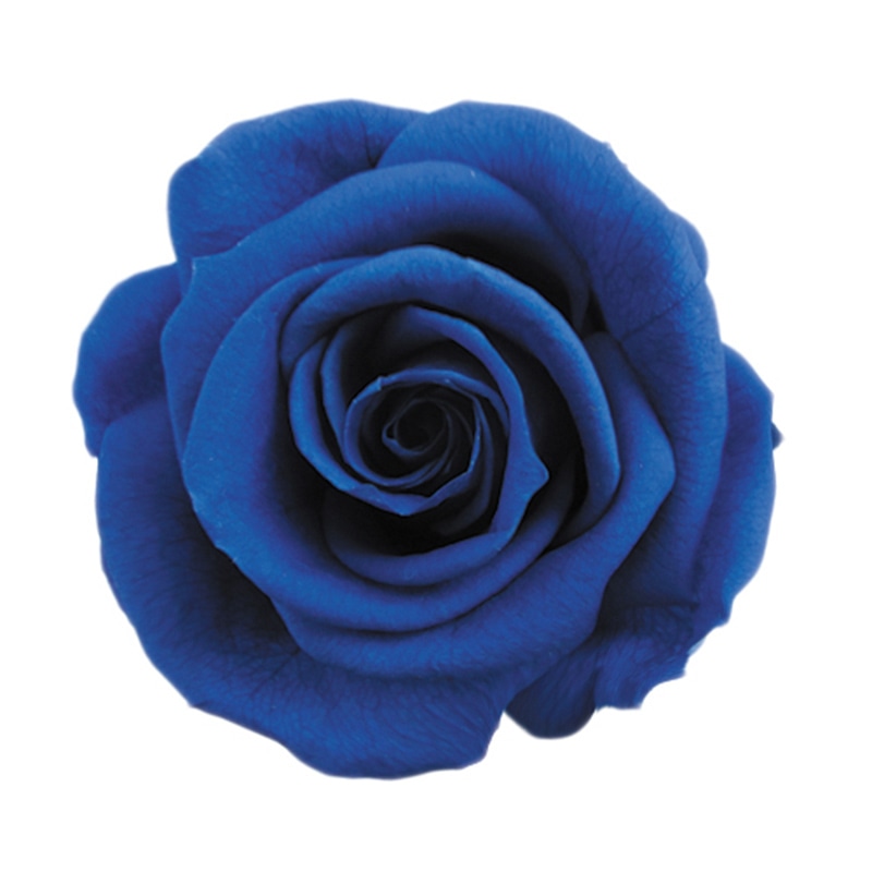 フロールエバー プリザーブドフラワー ショートステムローズ メッセージユーカリ グランブルー FL072021-12 1本(ご注文単位1本)【直送品】