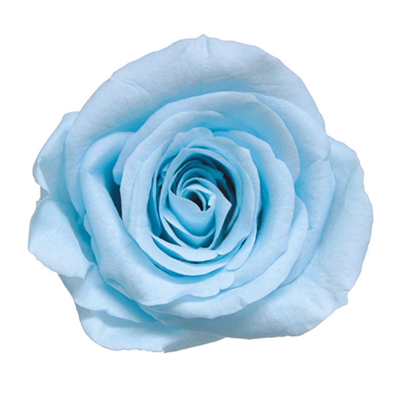 フロールエバー プリザーブドフラワー ショートステムローズ ボタニカルアート パウダーブルー FL072023-13 1本(ご注文単位1本)【直送品】