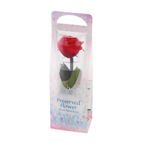 フロールエバー プリザーブドフラワー　ショートステムローズ ビードロ　チェリーレッド FL072024-05 1本（ご注文単位1本）【直送品】
