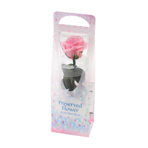 フロールエバー プリザーブドフラワー　ショートステムローズ ビードロ　ベイビーピンク FL072024-07 1本（ご注文単位1本）【直送品】