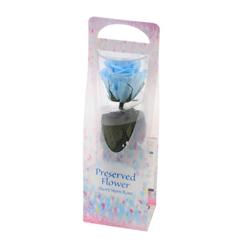 フロールエバー プリザーブドフラワー　ショートステムローズ ビードロ　パウダーブルー FL072024-13 1本（ご注文単位1本）【直送品】