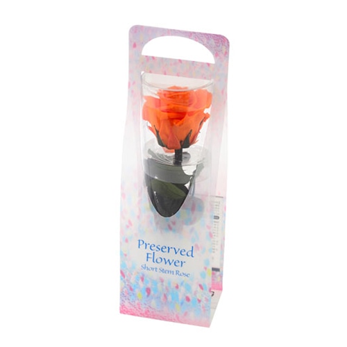 フロールエバー プリザーブドフラワー　ショートステムローズ ビードロ　タンジェリンオレンジ FL072024-29 1本（ご注文単位1本）【直送品】