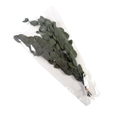 フロールエバー プリザーブドグリーン ユーカリ 丸葉 グリーン FL7091-800 1束(ご注文単位1束)【直送品】